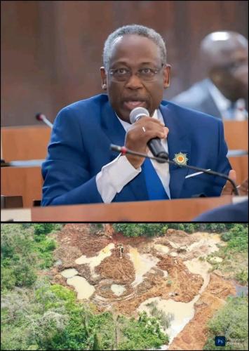 Orpaillage illégal / le porte-parole du PDCI-RDA, Bredoumy Soumaïla « l’enjeu dépasse les considérations politiques : il s’agit de léguer aux générations futures « un pays sain »,